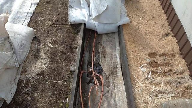 03.04.24 начинаю открывать виноград в теплицах. смотреть онлайн