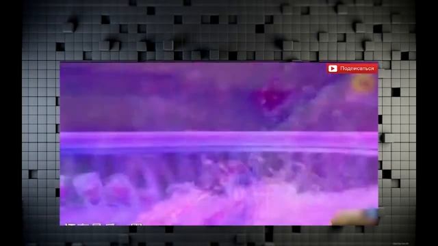 Приколы Сексуальные и Пошлые розыгрыши над людьми