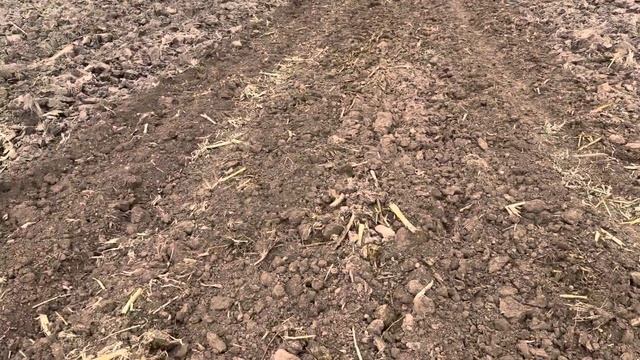 Дискуем землю после пахоты трактор Т150 ХТЗ смотреть онлайн