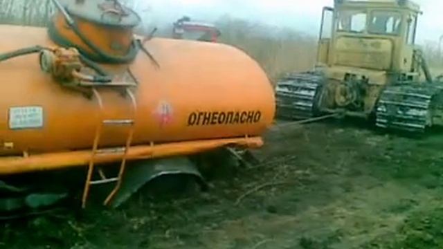Падла.mp4 смотреть онлайн