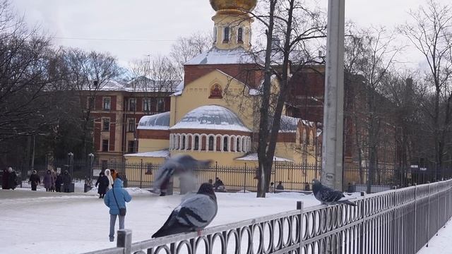 ЭКСТРЕМАЛЬНОЕ ПОХУДЕНИЕ: выступление на соревнованиях, эмоциональные переедания, дисциплина питани смотреть онлайн
