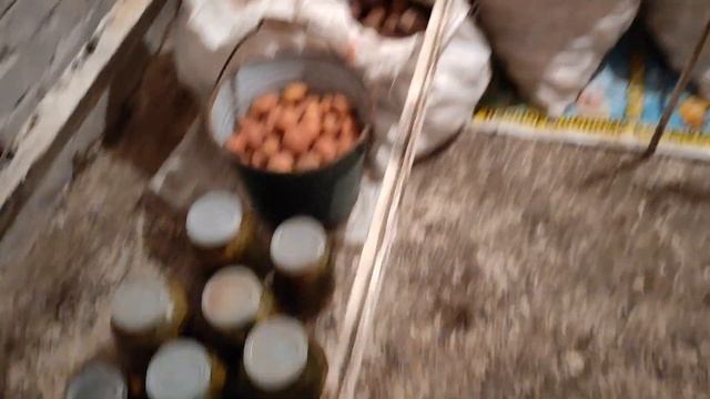Картофель. Урожай и хранение.Припасы на зиму.Огород на смотреть онлайн