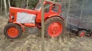 МТЗ-50 с прицепом в лес по дрова