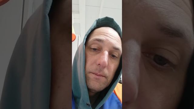 Охота, медведь смотреть онлайн