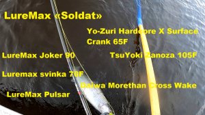 Ловля щуки на подповерхностники и попперы.