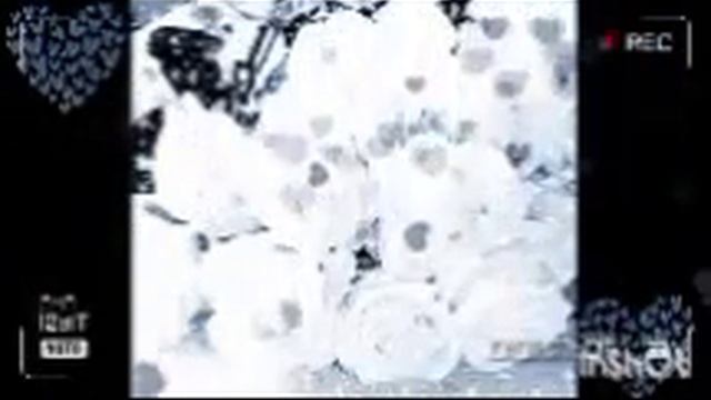 🕸 черные розы 🕸Крестов & С.Белькевич смотреть онлайн