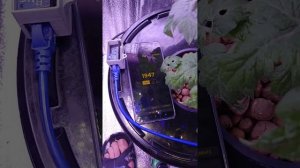 Приложение Lux meter  для измерения интенсивности света г?