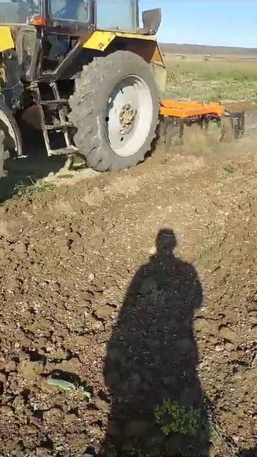 Борона БДМ , в работе +7 903 642 07 82 смотреть онлайн