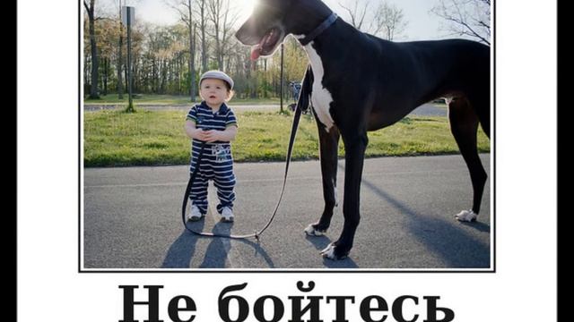 Дети- самый лучший позитив