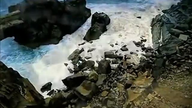 максим радио.flv