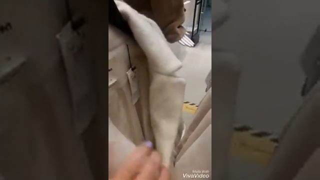 Сочи.Обзор новинок в KOTON.Что выбрать на сочинскую зиму. смотреть онлайн