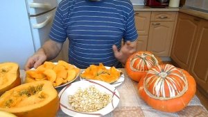 ТЫКВА ТУРЕЦКАЯ ЧАЛМА