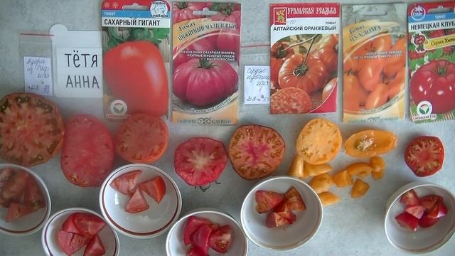 Дегустация 2024   № 56