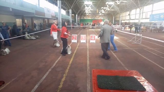 24.09.16 Сравнение на ВОВ! смотреть онлайн