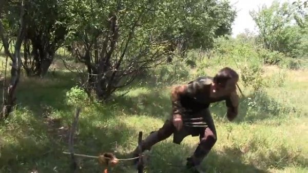 Мысли вслух. Две стрелы