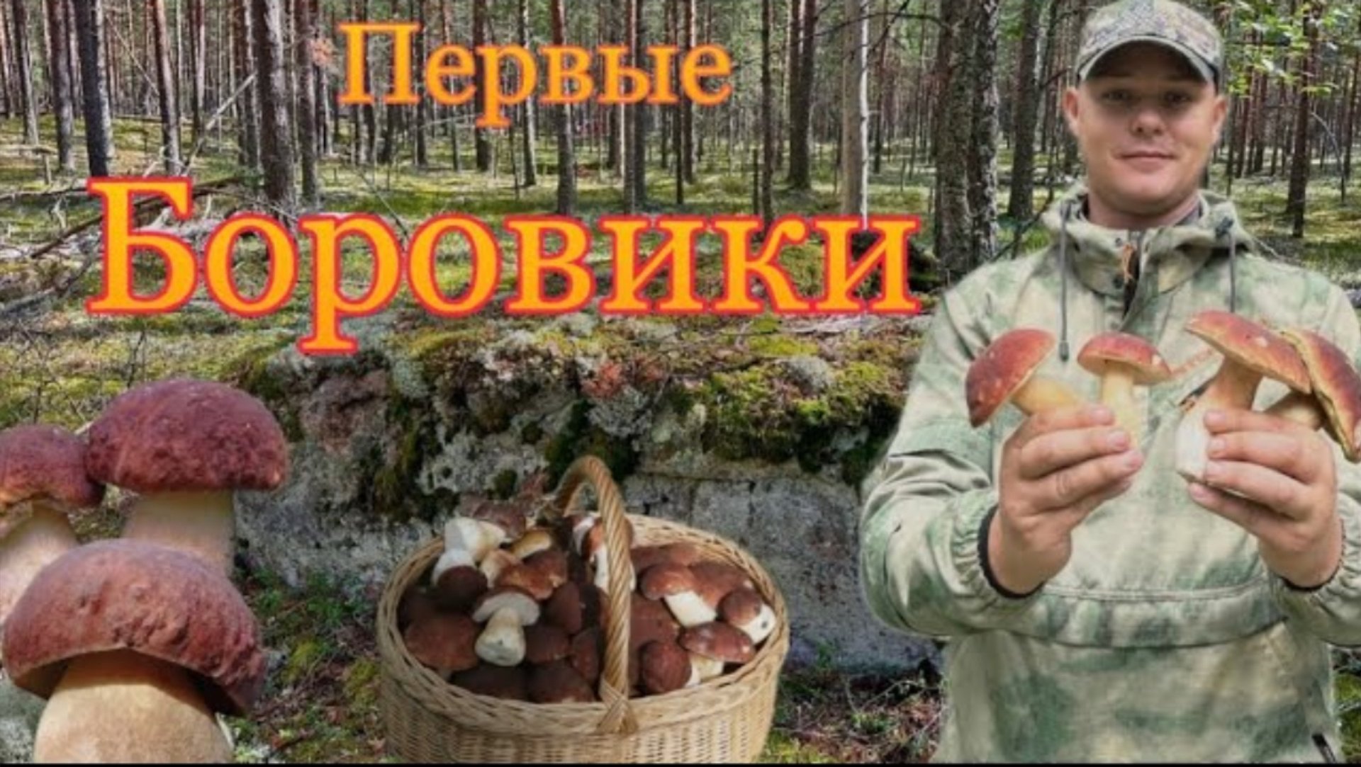 Первые Боровики в Приозерском Районе_Открыли сезон Боровиков смотреть онлайн