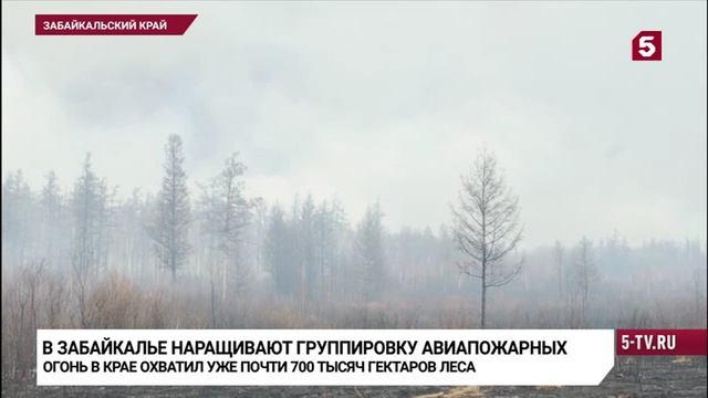 Пятый канал 20 мая 2025
В эти минуты в Забайкалье прибывают дополнительные силы для тушения пожаров смотреть онлайн