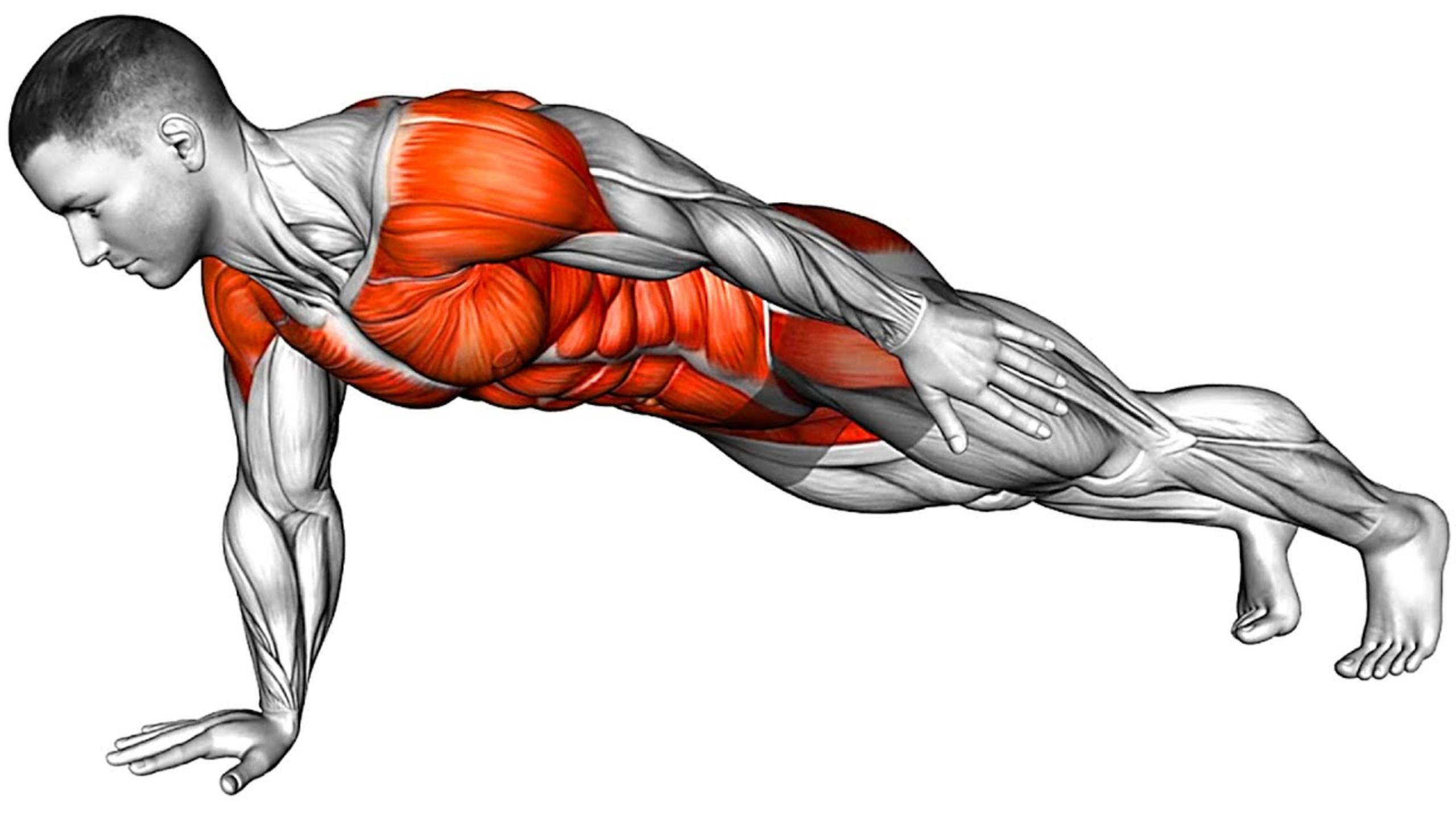 7 минутная Ежедневная Тренировка Планки смотреть онлайн