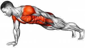 7 минутная Ежедневная Тренировка Планки