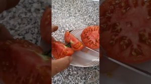 Тасманский шоколад. Tasmanien Chocolate. Дача как хобби.