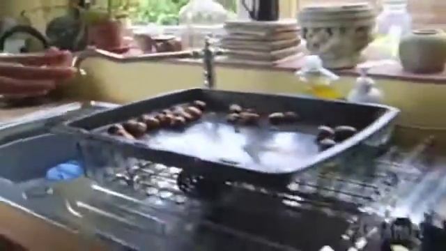 Кулинарные приколы