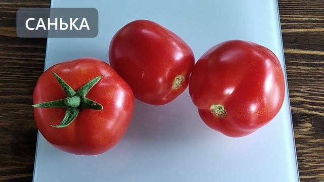 Эти сорта томатов больше не посажу смотреть онлайн