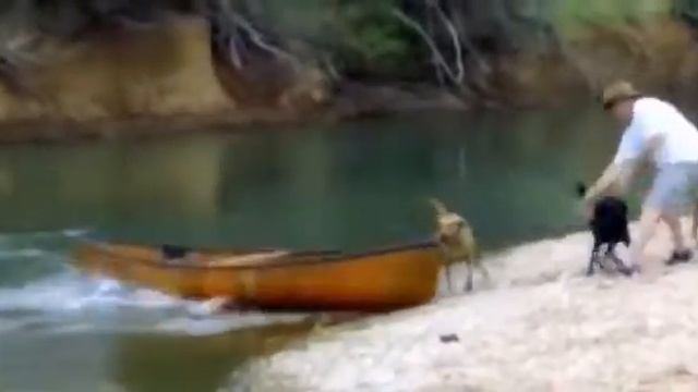 А чё, прикольно №17 смотреть онлайн