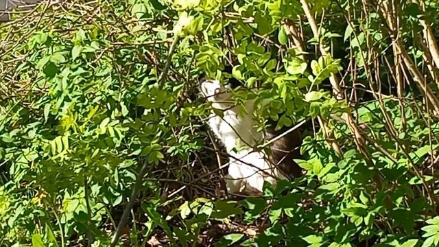 21 мая 2025. Майское перегорание. смотреть онлайн