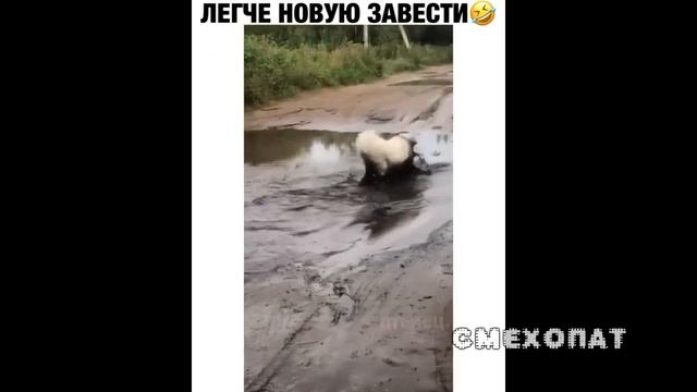 ЛУЧШИЕ НОВЫЕ ПРИКОЛЫ 2020 ИДЕАЛЬНЫЙ ПАРЕНЬ; ЕРЖАН НЕ СМОГ, #смехопат, #лучшиеприколы2020, смотреть онлайн