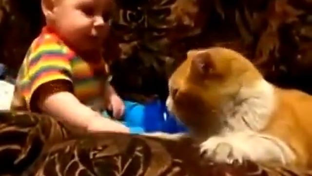 Смешной кот. Спать, я сказал! РЖАКА ))) смотреть онлайн