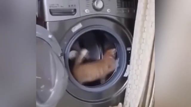СМЕШНЫЕ ВИДЕО 30 МИНУТ СМЕХА ДО СЛЕЗ ЛУЧШИЕ ПРИКОЛЫ ЧУДИКИ ИЗ СОЦСЕТЕЙ РЖАКА #11 смотреть онлайн