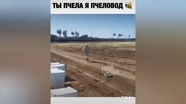Тик ток приколы лучшее(4) смотреть онлайн