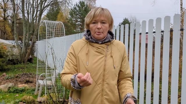 ГОТОВИМ РОЗЫ К УКРЫТИЮ. Как лучше зимовать розам.12 окт? смотреть онлайн