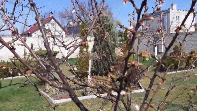 #Двор#цветы#посадка#красота