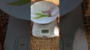 2024 г. Беларусь Обзор : абрикос пин кот , очень крупнопл?