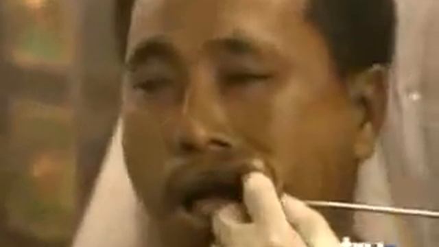 Мега прикол идиоты рулят видео оленей смотреть онлайн