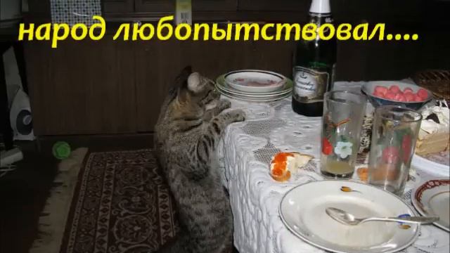 В День Рождения смотреть онлайн
