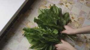 Щавель. Начинка для пирожков.