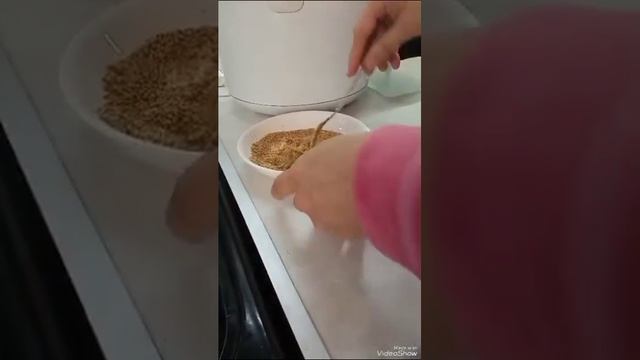 Брокколи в панировке с сыром (готовка)