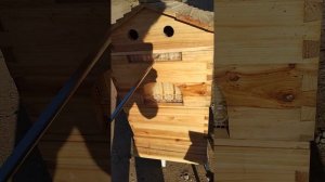 Автоматический улей с 4 рамками