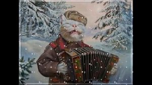 Юмор и прикол. Кот играет на баяне у прохожих на виду 2025 The cat plays the accordion