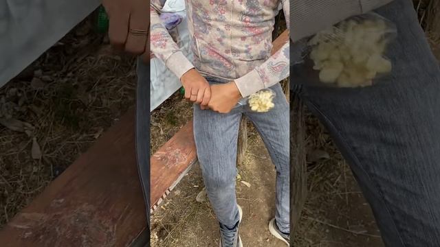 ЛАЙФХАК. КАК ИЗМЕЛЬЧИТЬ ЧЕСНОК, ЕСЛИ НЕ В ДОМАШНИХ УСЛ? смотреть онлайн