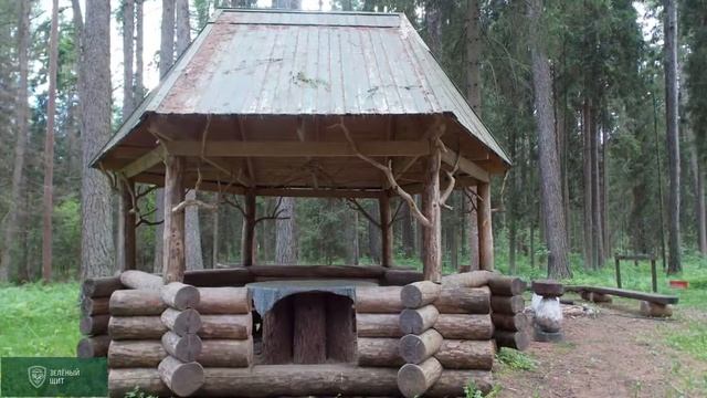 Поздравление из Тюрмеровского леса с Днем защитника окружающей среды смотреть онлайн