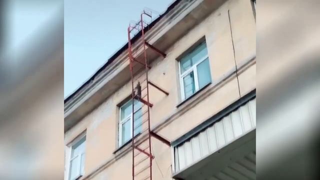 СМЕШНЫЕ КОШКИ 2020 КОТЫ Приколы Кошками и Котами Funny Cats смотреть онлайн