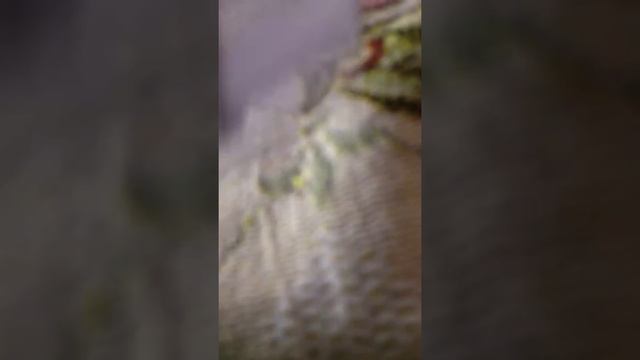 Купила жвачка шокер смотреть онлайн