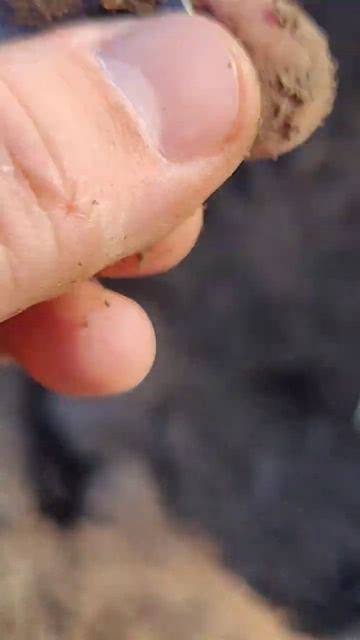 САМАЯ КРУТАЯ МОЯ НАХОДКА!!! СЕРЕБРЯНЫЙ РУБЛЬ!!! ПРОСТО К смотреть онлайн