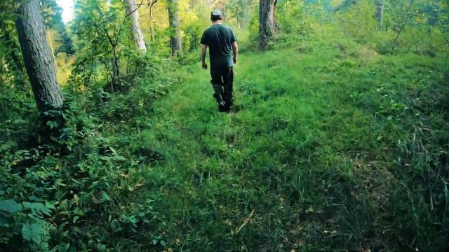 Покатушки в лесу на fuego tekken 3.0 250 смотреть онлайн