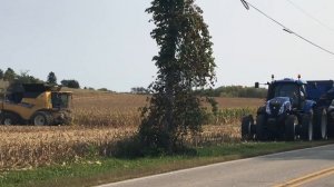 США, Висконсин: уборка урожая кукурузы.