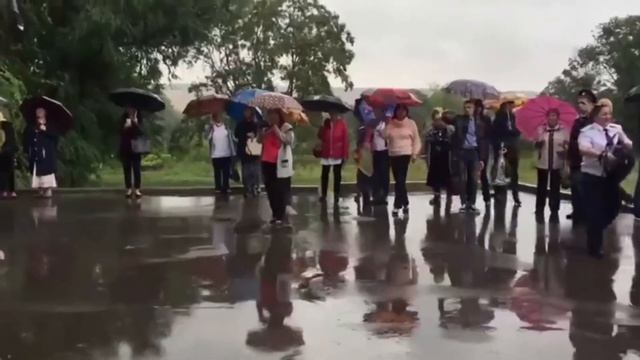 Приколы Юмор 2018 Идиоты Ржач Угар Подборка Коты Собаки Придурки Фильмы Март Апрель Май Июнь Июль смотреть онлайн