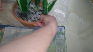 КЛЕЩ-моя обработка сансевиерий от клеща. Мой опыт #sansevi